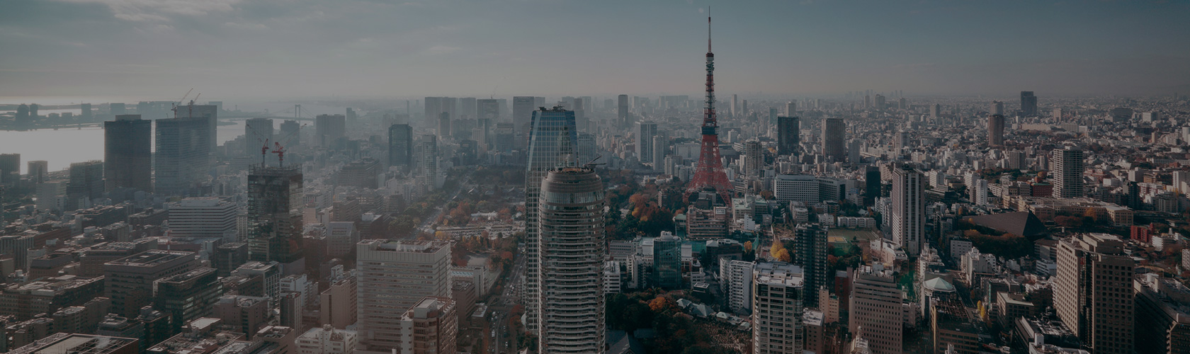 その他の業務